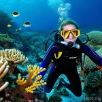 홍해 스쿠버 다이빙 명소 - Vibrant Red Sea Coral Garden Dive
**Prompt:** A female diver, mid-20s, wearing a form-fitting blue ...